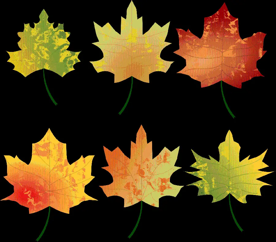 Image of various autumn leaves with different faces and colors