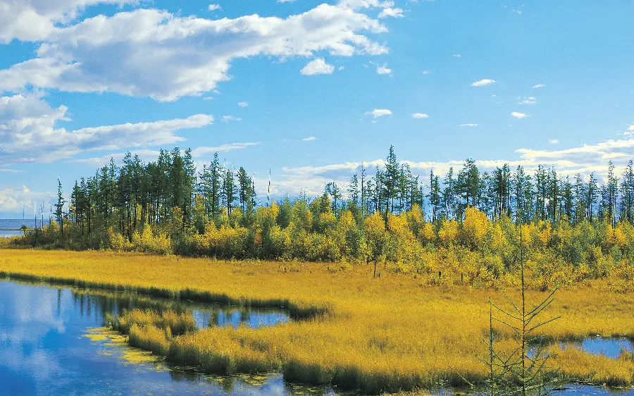 Download the latest beautiful, romantic and dreamy landscape photo of the plain and marsh 