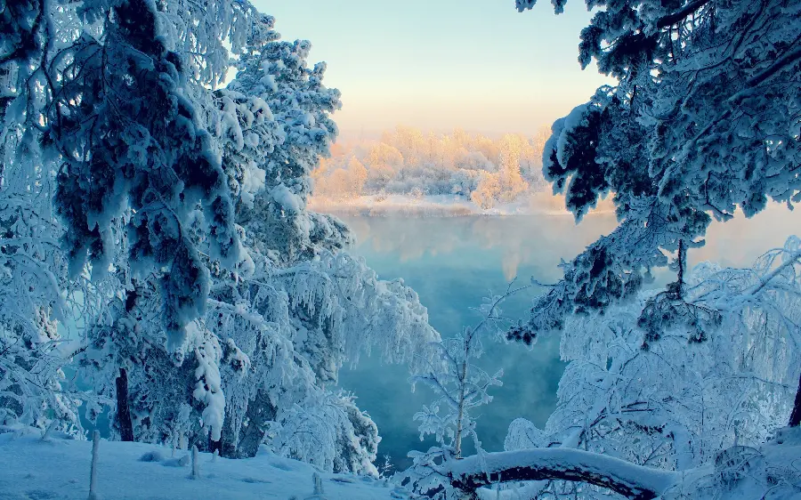 Download free nature photo with winter theme for wallpaper 