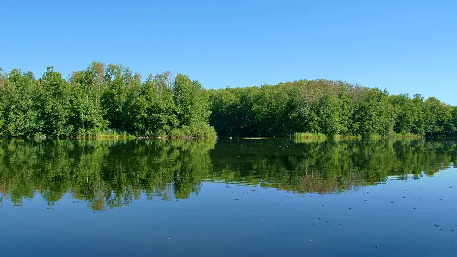 Amazing photo of nature reflection in the lake for inspiration