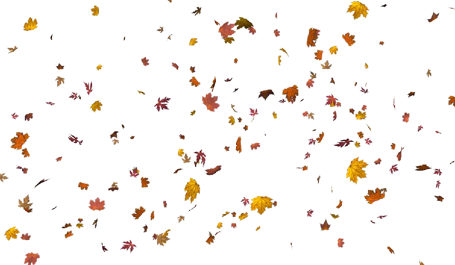 Autumn text box with a busy and small design with the highest quality 