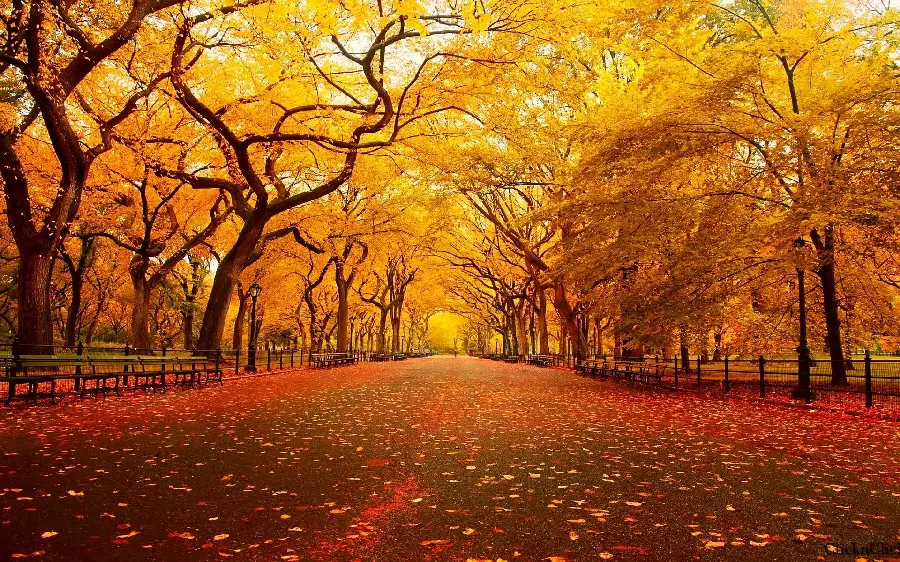 The most downloaded computer and laptop screen photo with an autumn theme