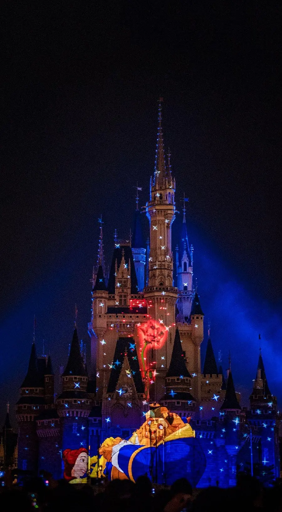Walt Disney Castle Wallpaper with Beauty and the Beast Animation Design and Photo