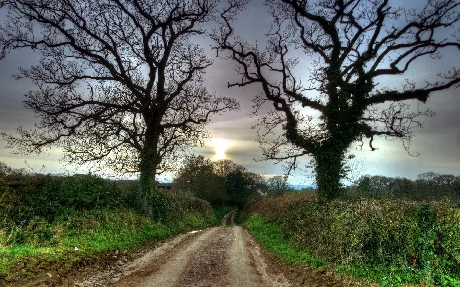 Stunning and amazing wallpaper of a natural attraction with a dirt road