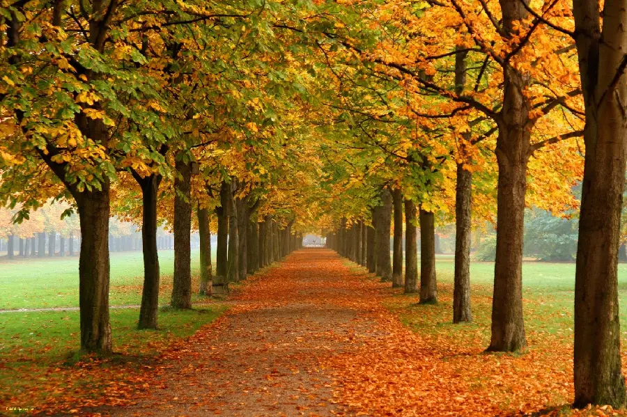 Incredibly beautiful and excellent background of the natural landscape of the autumn season