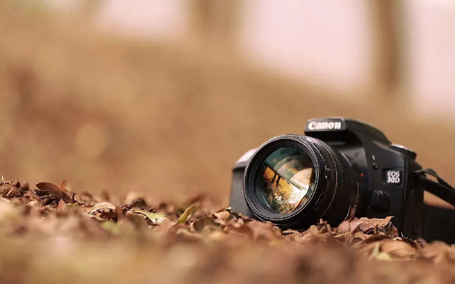 Download an attractive and spectacular background from a camera on the ground in high quality 