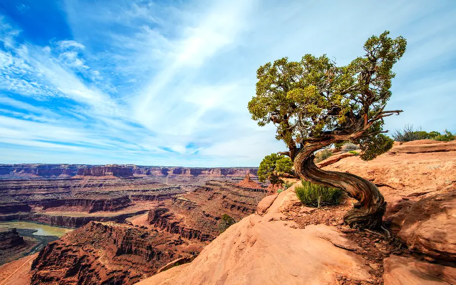 Download unique and special desert wallpaper with cloudy blue sky 