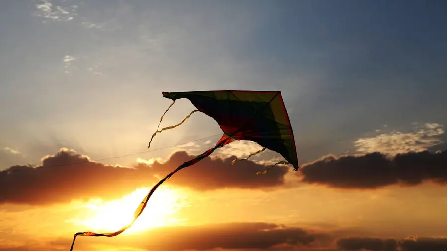 The most beautiful wallpaper of a real kite flying in the sunset sky