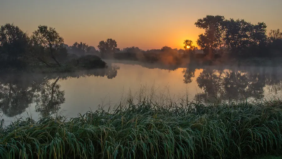 Profile photo of the moment of sunset in clean nature suitable for background