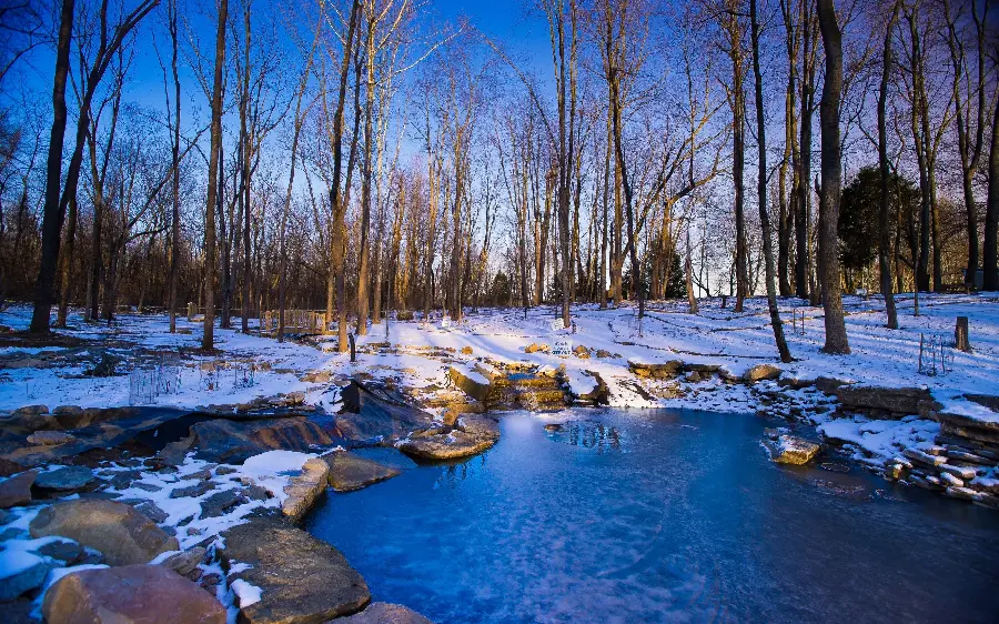 Best winter photo by the frozen lake