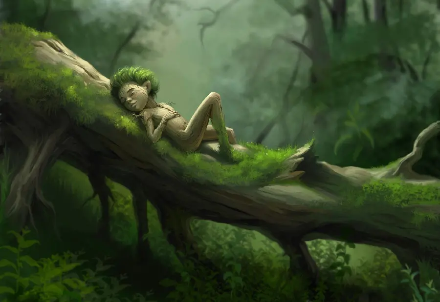 Download a strange and special photo of a tree man graphic fantasy design