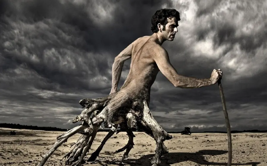 Interesting and strange photo of a tree man for profile and background