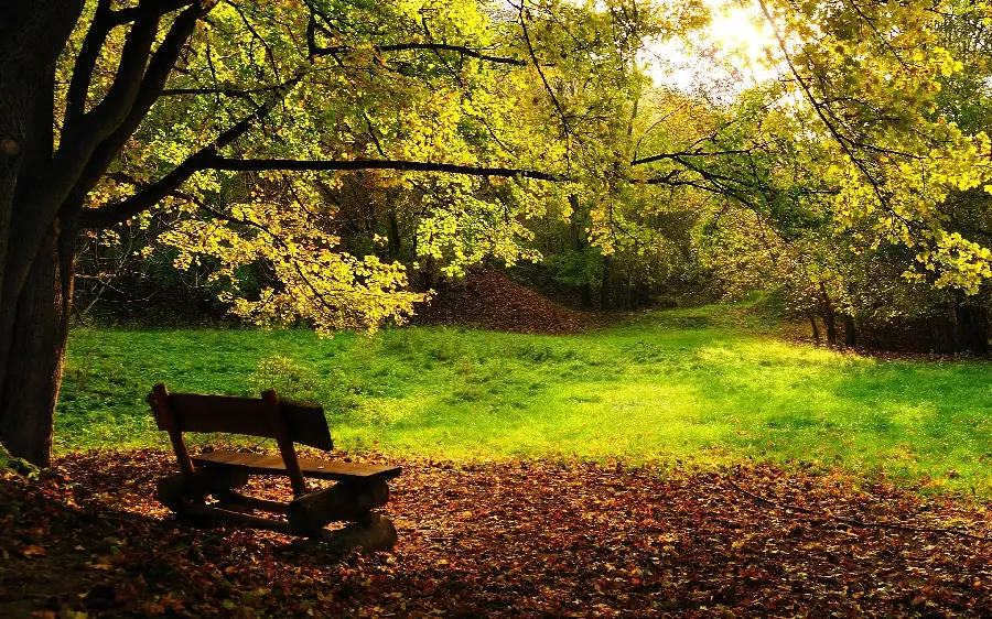 Amazing and incredible autumn wallpaper for laptops and computers