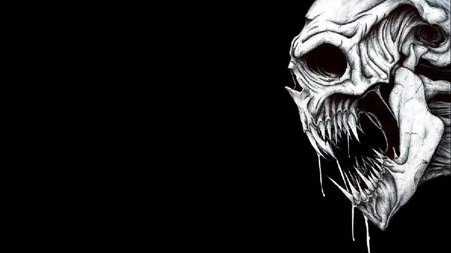 Download creepy photo of a human skull with a black background for the profile of special and dumb boys 