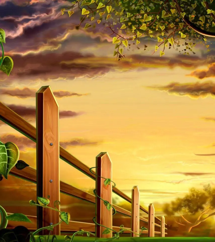 Beautiful photo of sunset nature painting with the highest quality 