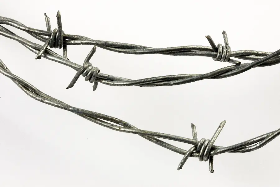Quality stock Barbed wire on white background ready for Photoshop 