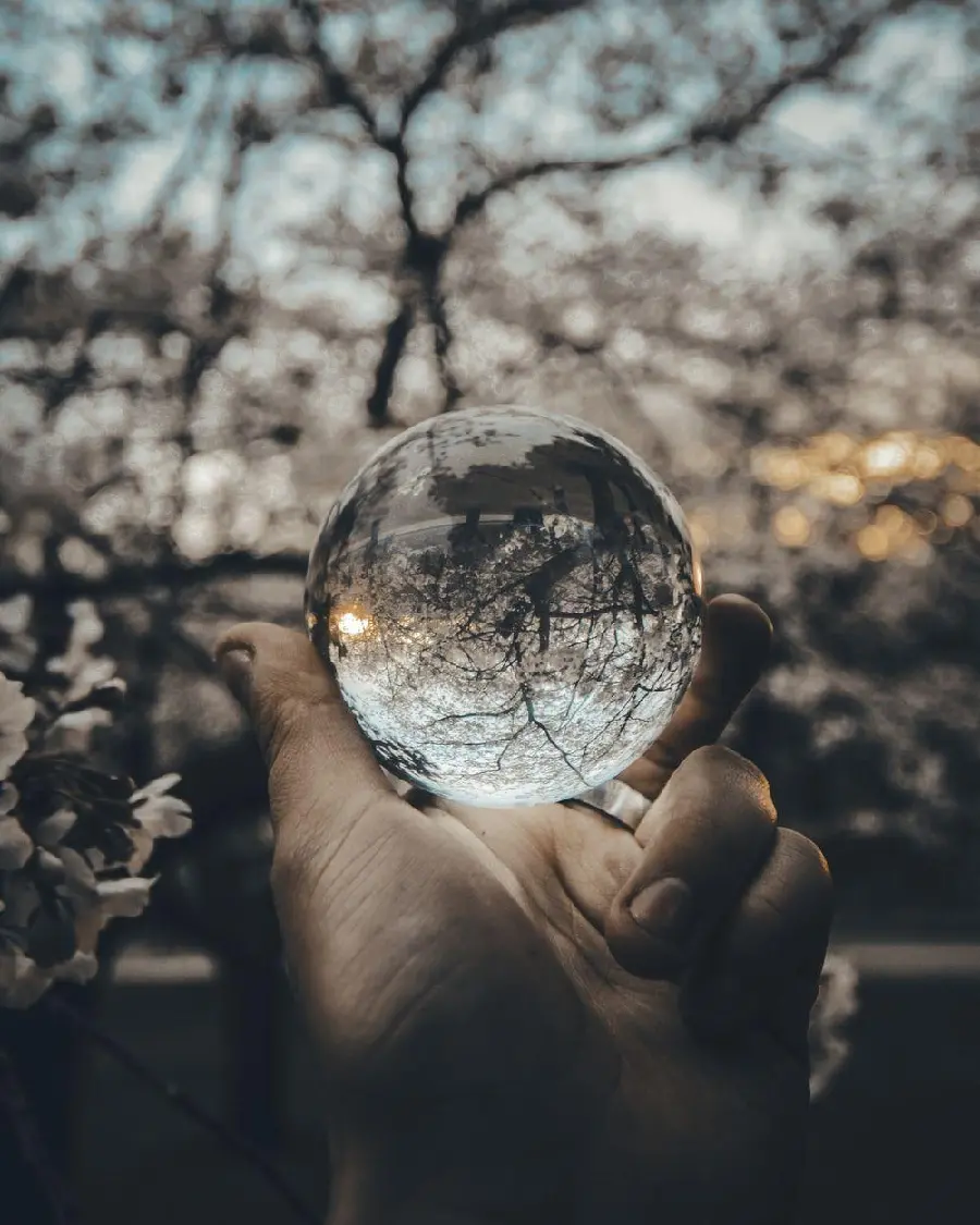Full HD wallpaper of a transparent crystal ball and glass with a nature background