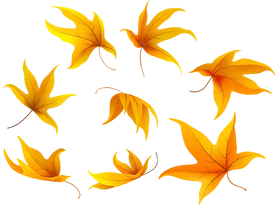 High-quality telephoto image of autumn leaves in PNG format