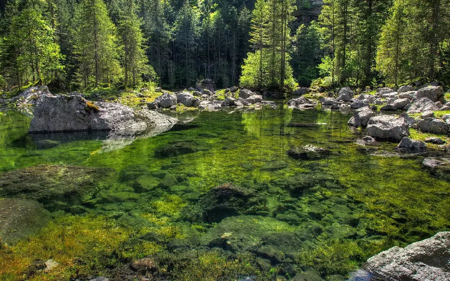 Pure and magical stock of free nature for the background of smart TVs