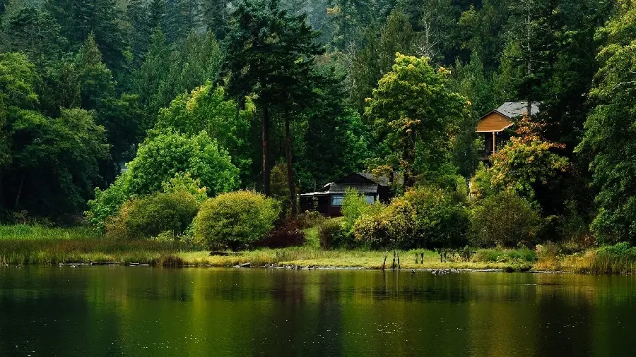 Wallpapers of nature and incredible views in the best quality