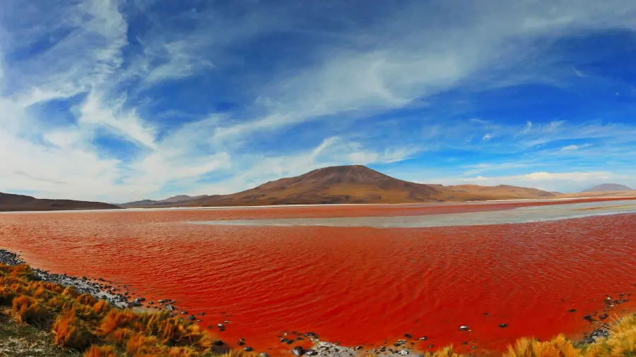 The most beautiful free and high-quality design of a strange red lake 