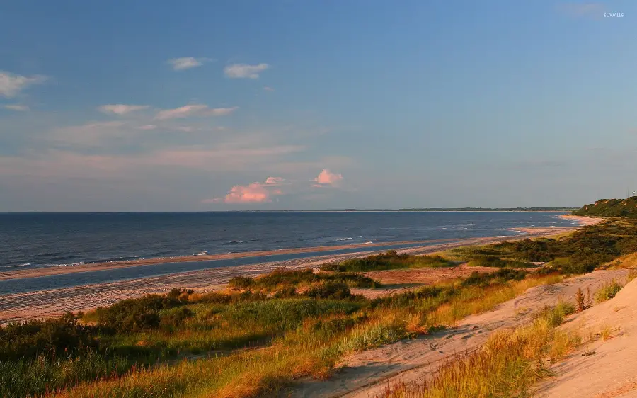 Eye-catching grass stock Beach for lovers of sea nature