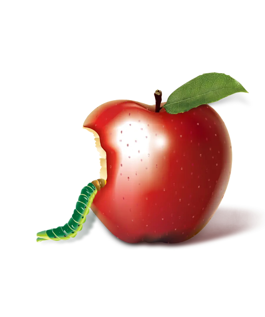 Download PNG images of colorful apples without backgrounds