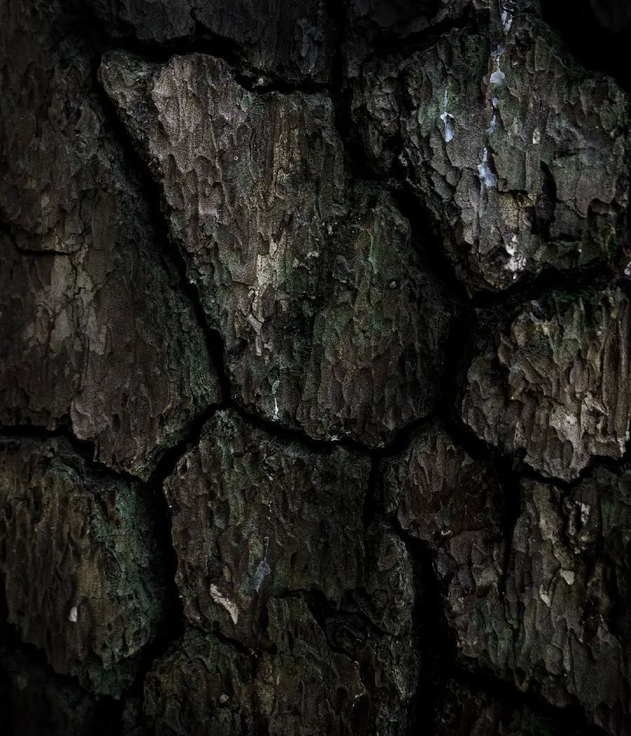 Download high-quality and free rock wallpaper for Sony Xperia 5