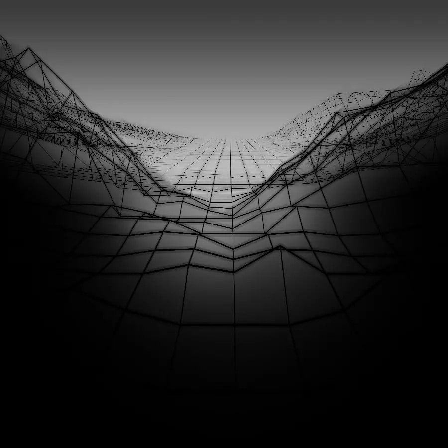 Black and White Wireframe 3D Geometric Polygon Background
