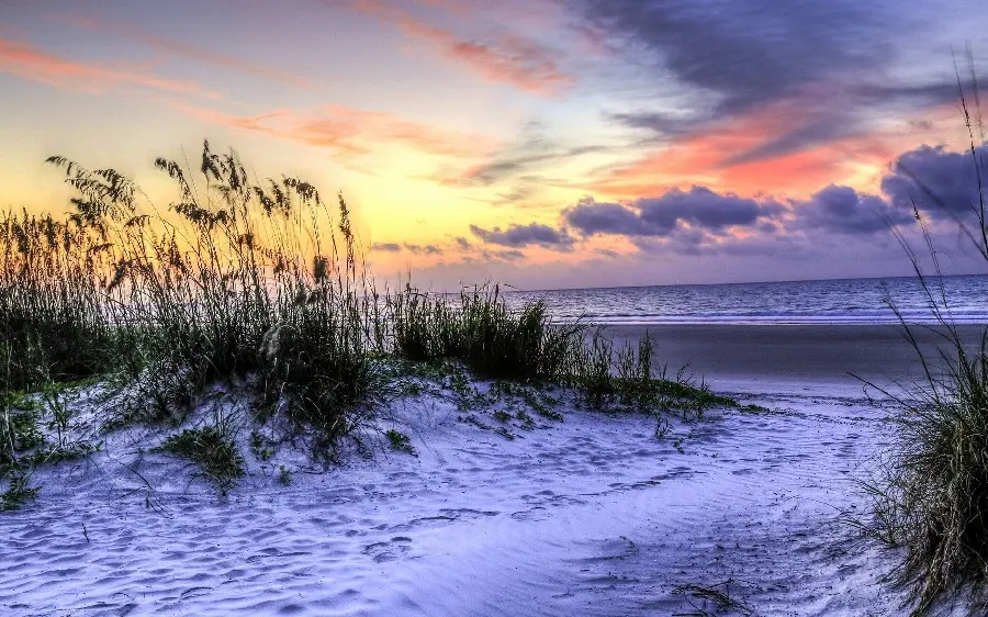 Background photo with a dreamy view of snow-covered beach grass