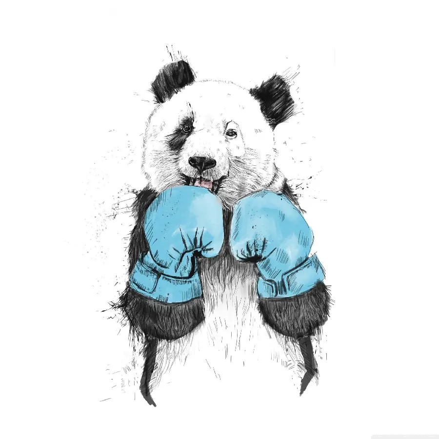 Black and white background in a minimalist style with an interesting boxer panda theme