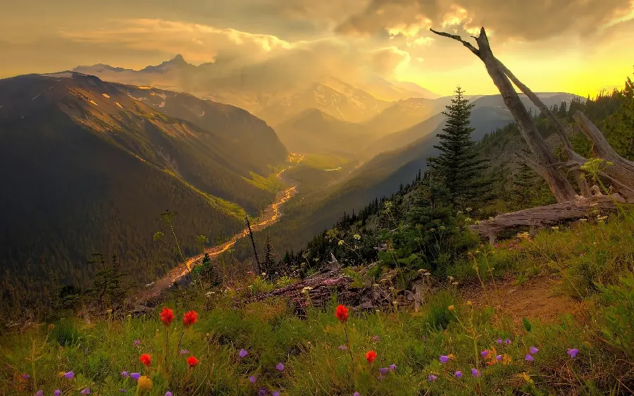 A wallpaper of eye-catching nature for printing in HD quality