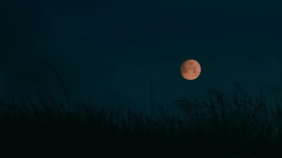 Unique HD quality stock photo of a crescent moon on a dark sad night in a corner of Grass