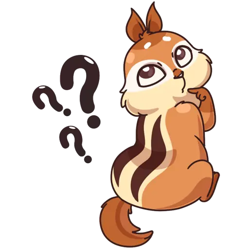 Photo of a cute and cute squirrel cut out PNG with full HD quality
