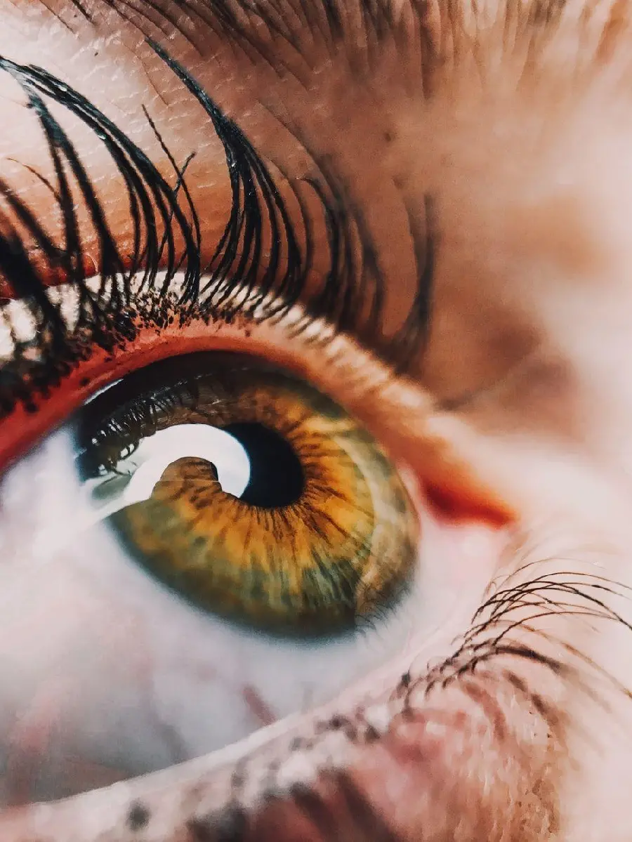 Real brown eyes with long and attractive eyelashes for profile 
