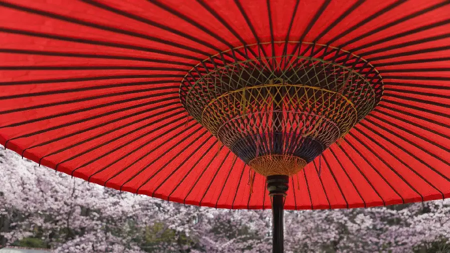 Cool and artistic high-quality stock of Japanese umbrellas