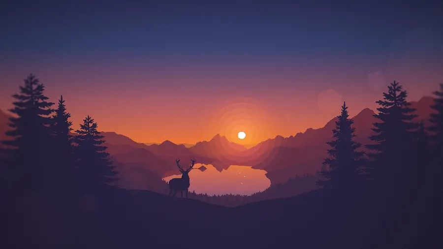 Minimalist sunset photo in the forest for computer wallpaper 
