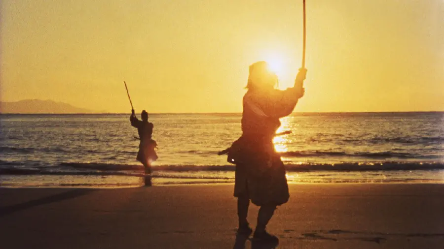 Download the photo of the samurai war at sunset with the highest quality