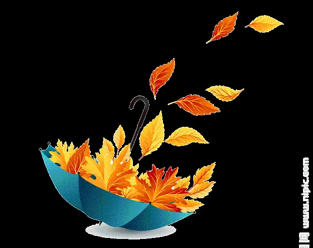 Download cut out image of autumn leaves in PNG format 