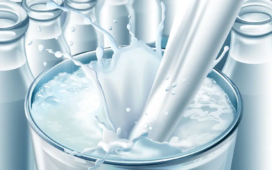 Cartoon photo of a milk cow for advertising dairy products of factories