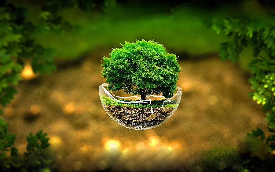 Fantasy wallpaper of the landscape of trees inside the pond