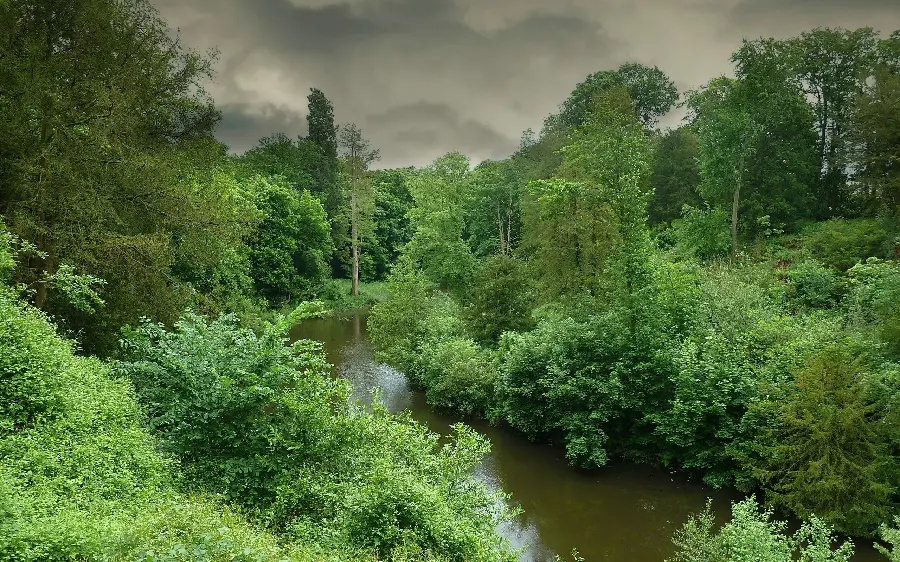 Beautiful photo of a special and unique green plain with cloudy weather 