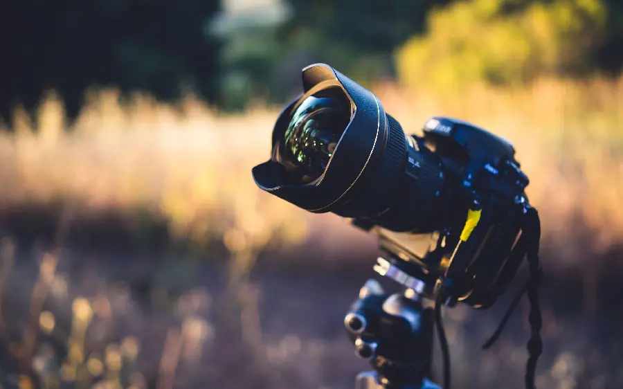 Background focus of a compact DSLR camera on a yellow wheat field in high quality