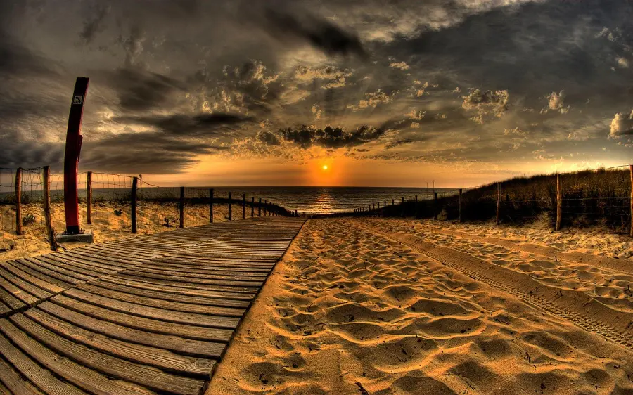 Profile photo of a vast and calm sandy beach leading to the sea at dawn