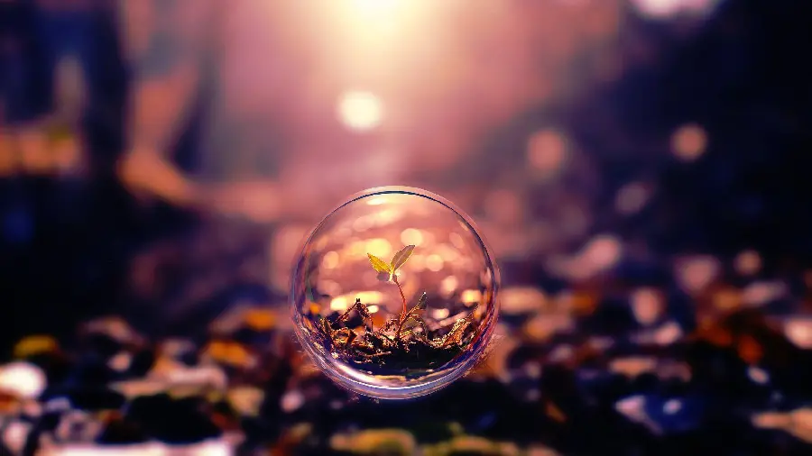 Full HD crystal ball and transparent wallpaper 