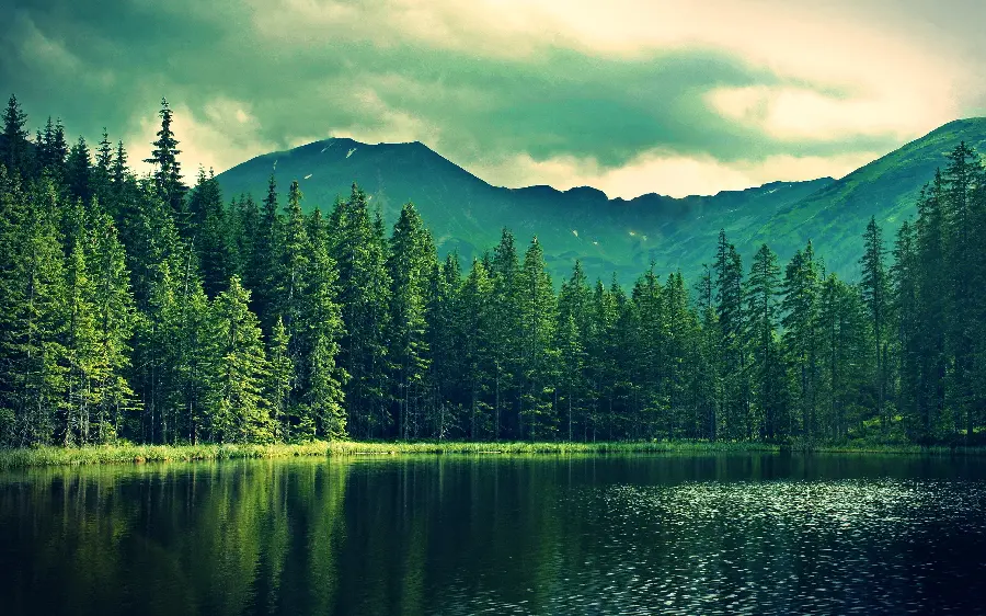 The most visited nature stock for painters' inspiration