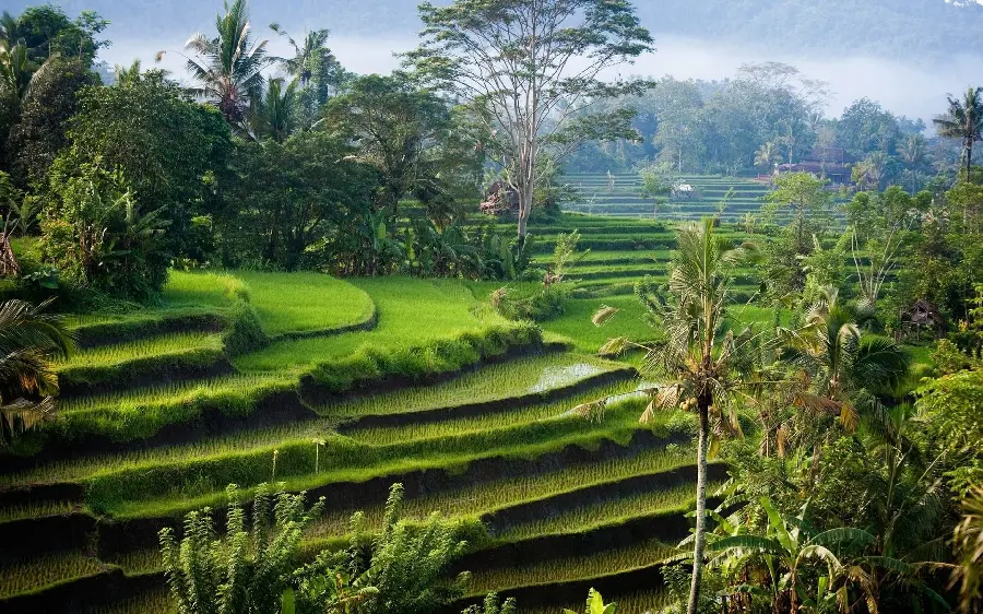 A photo of a dreamy and lush place with a spectacular and extraordinary view