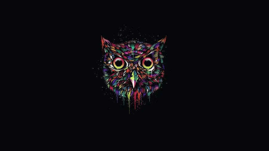 Minimalist colorful owl photo in the background Black