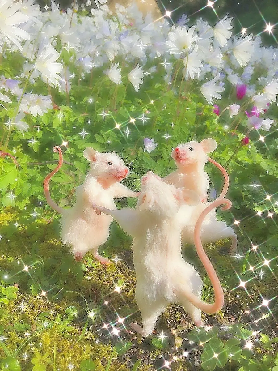 Download computer graphics photo of white Googoli mice playing 