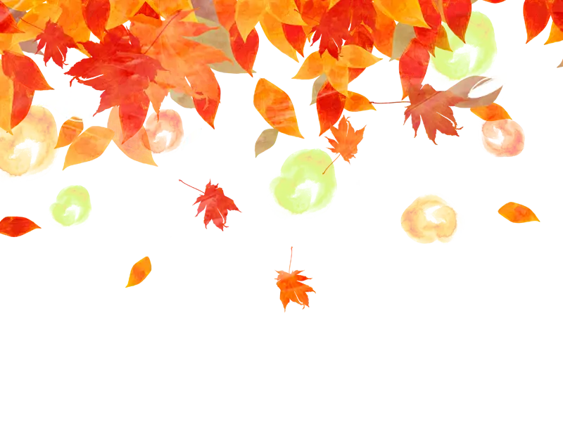Beautiful and colorful autumn text frame PNG photo with white background